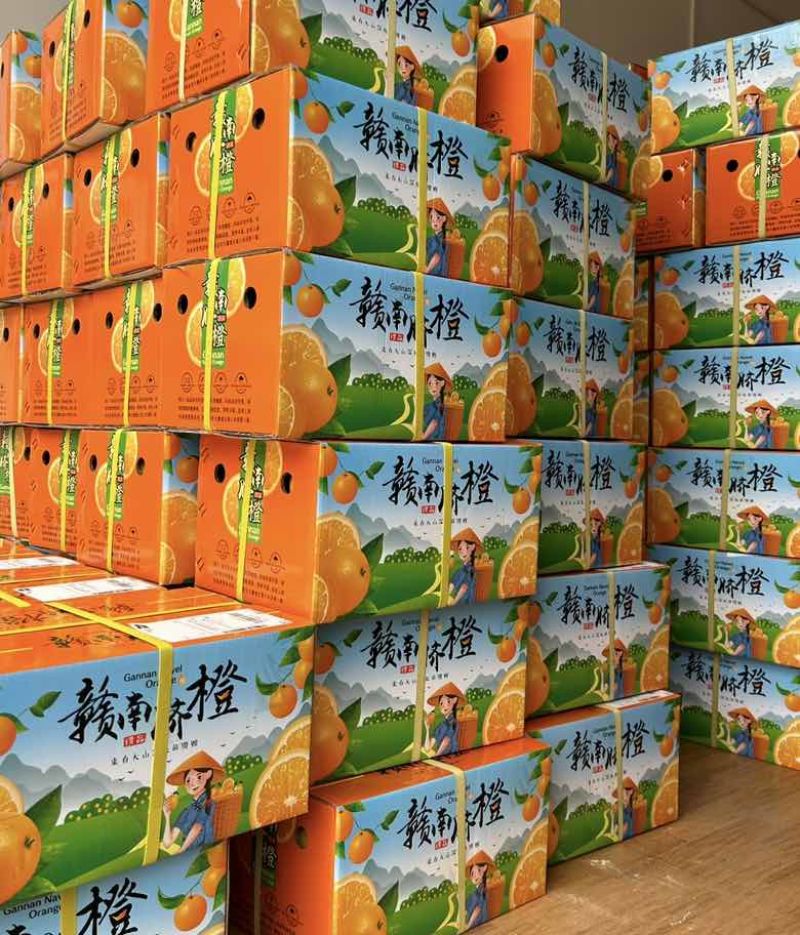 江西赣南脐橙小果尝鲜