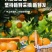 江西赣南脐橙小果尝鲜