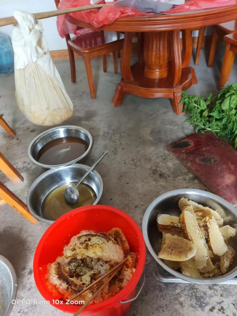 正宗土蜂蜜