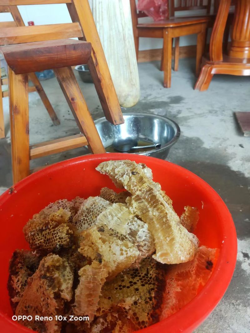 正宗土蜂蜜