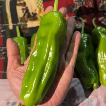 芜湖椒，螺丝椒，