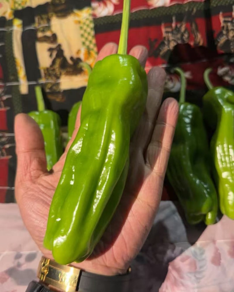 芜湖椒，螺丝椒，
