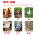 云南干玉米粒