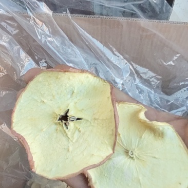 富士苹果干