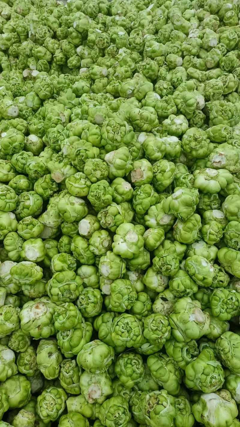 涪陵榨菜