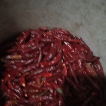 小辣椒