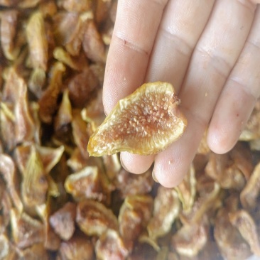 无花果干布兰瑞克