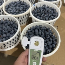 云南花香蓝莓超低价一件代发