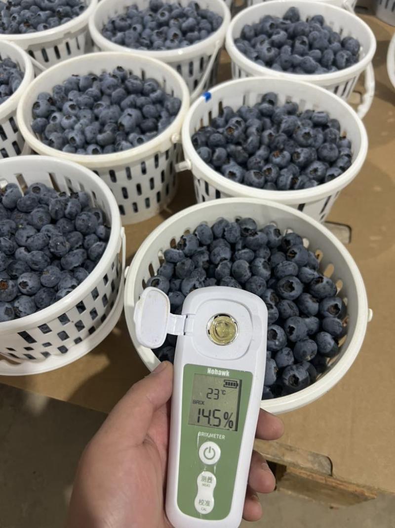 云南花香蓝莓超低价一件代发