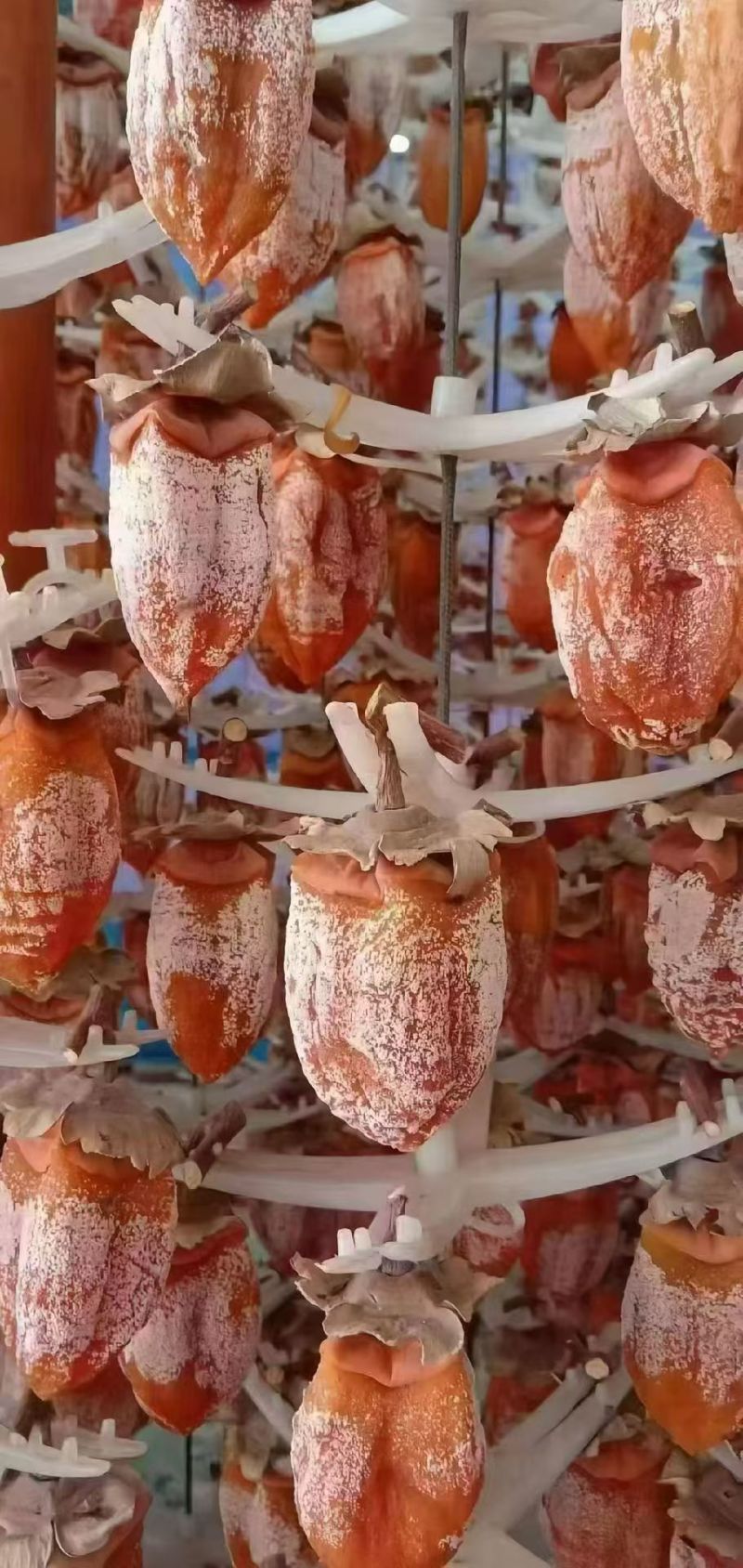 富平柿饼甜蜜中国