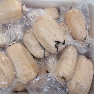 汉中洋县马畅精品大白藕真空包装，**各大商超，电商！