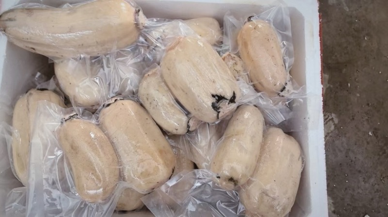 汉中洋县马畅精品大白藕真空包装，**各大商超，电商！
