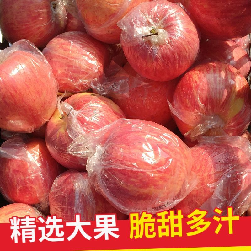 山西运城苹果