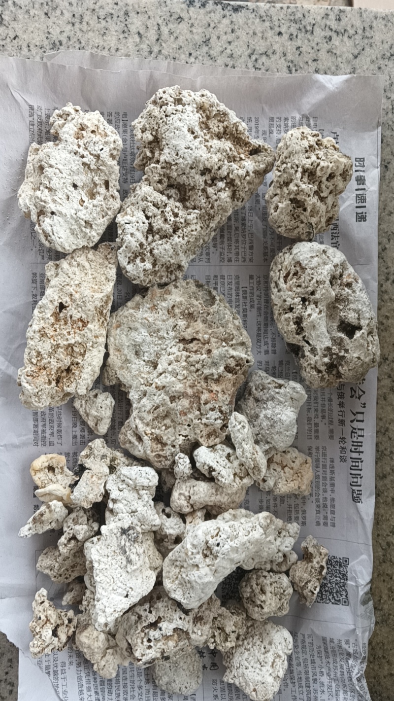 天然龙涎香，海边捡到的