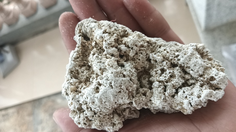 天然龙涎香，海边捡到的