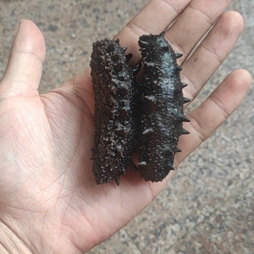 新鲜出锅的拉缸盐海参