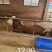1000头西门塔尔肉食牛、
