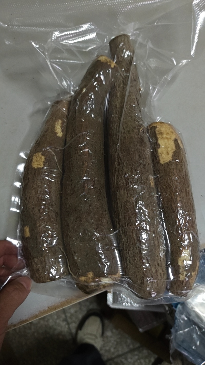 黄肉木薯