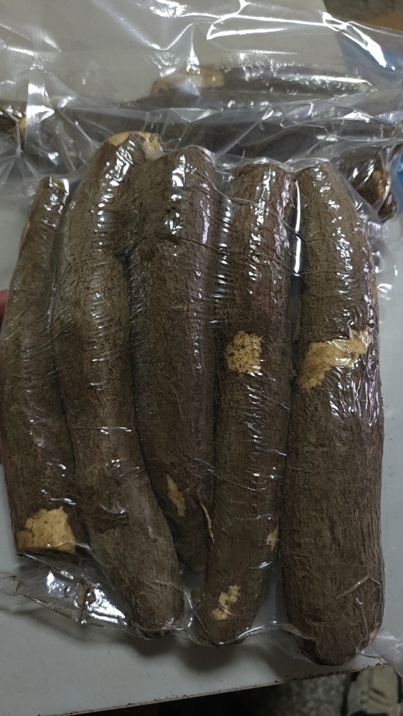 黄肉木薯