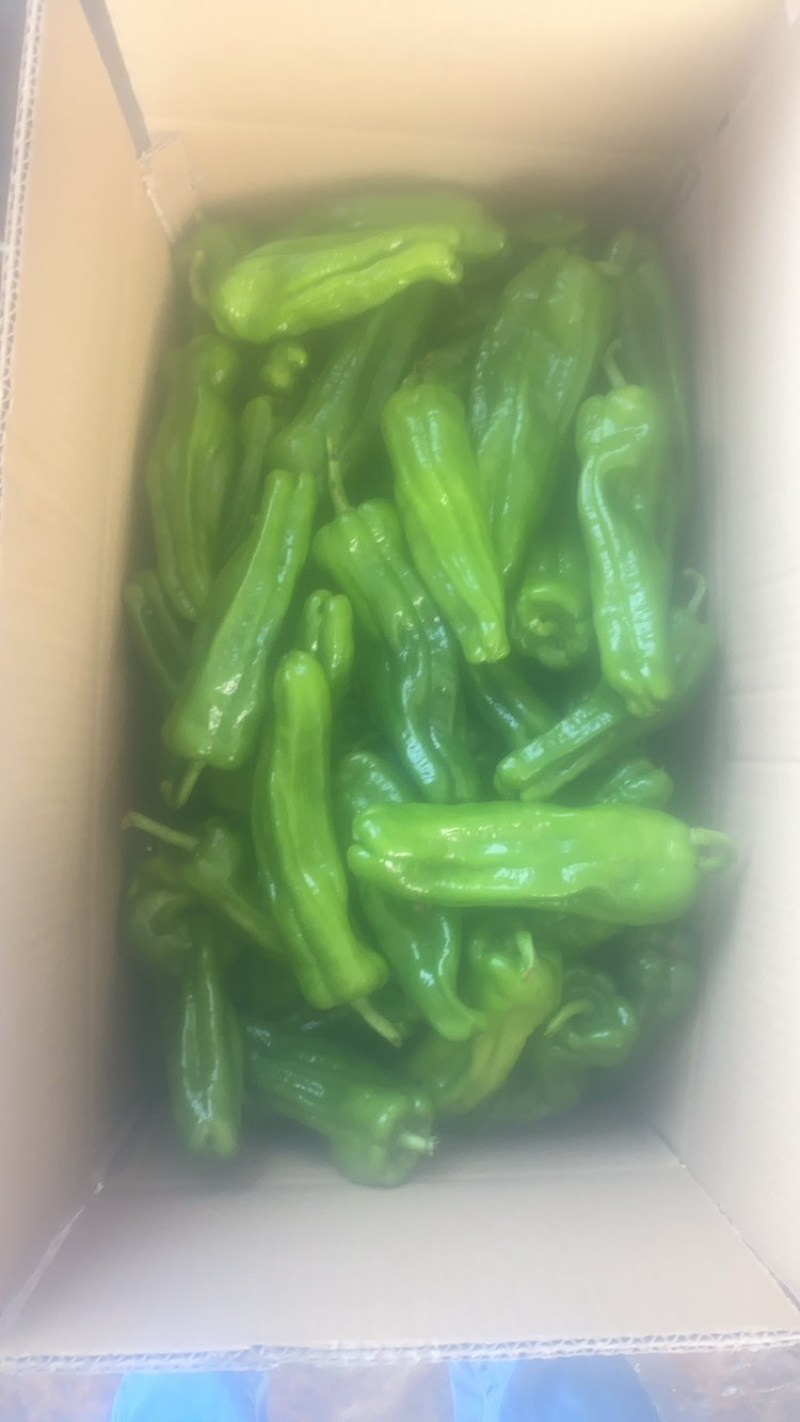 泡椒，龙椒