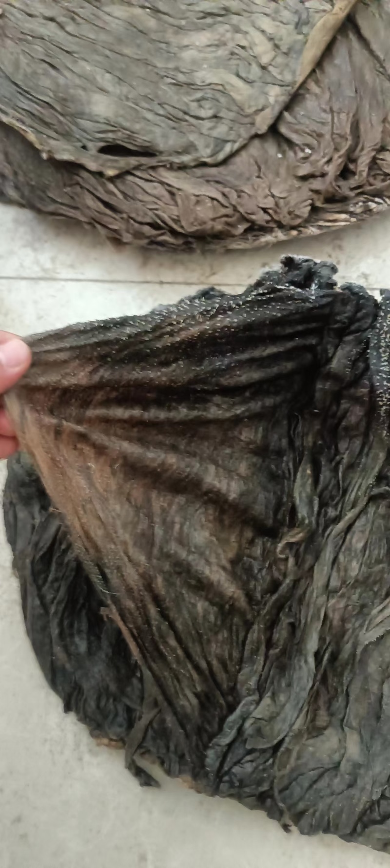 需要盐毛肚的老板私聊