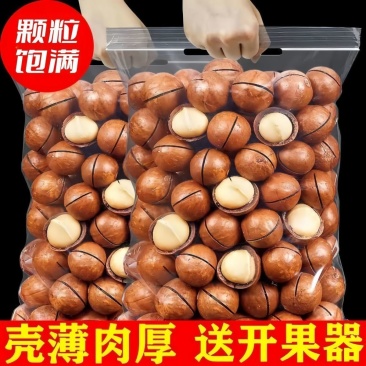 夏威夷果电商一件代发批量拿货