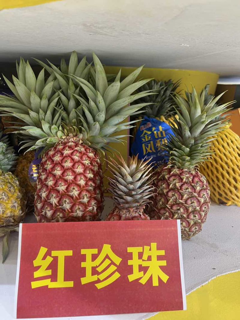 芒果凤梨大，中，小每天采