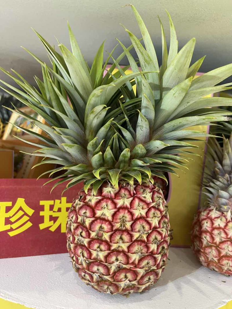 芒果凤梨大，中，小每天采