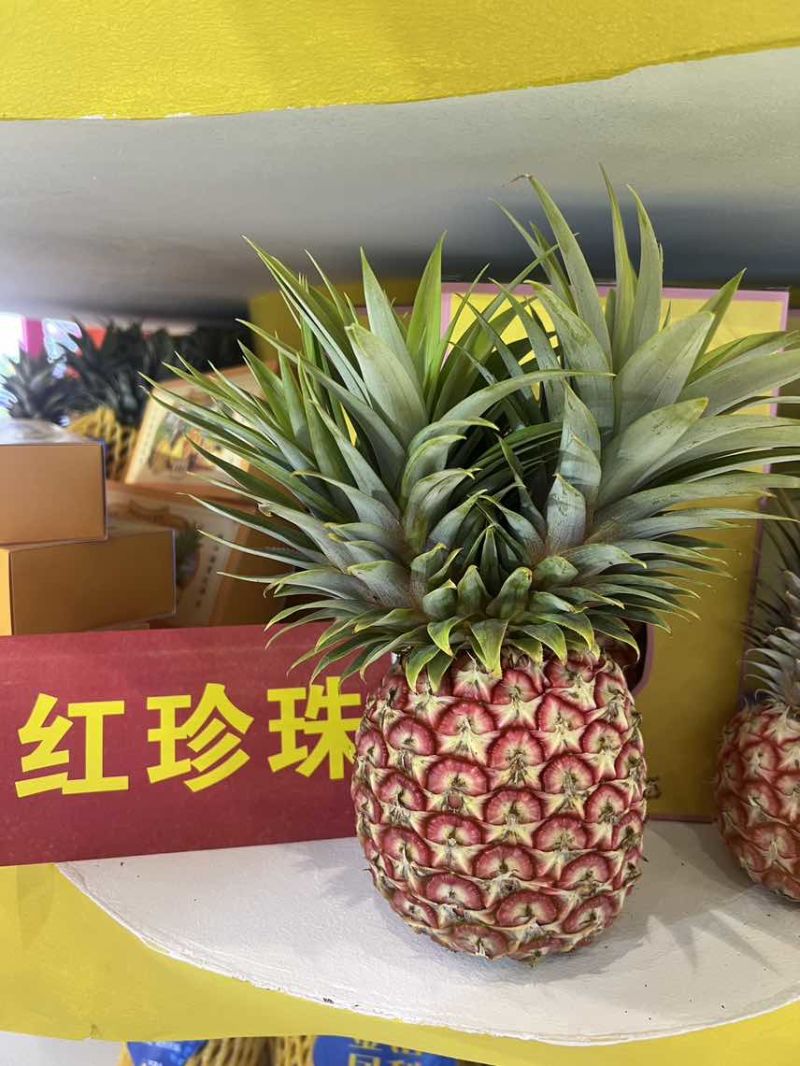 芒果凤梨大，中，小每天采