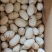 鹅蛋