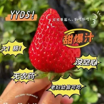 丹东红颜久久草莓