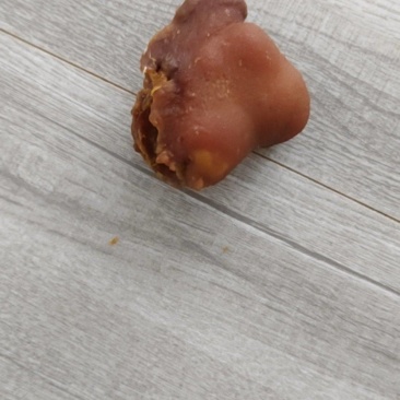 鸡宝