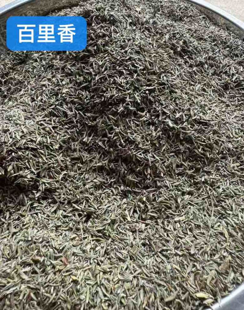 西餐调味料百里香香草香料埃及摩洛哥进口香料长期批发量大价优