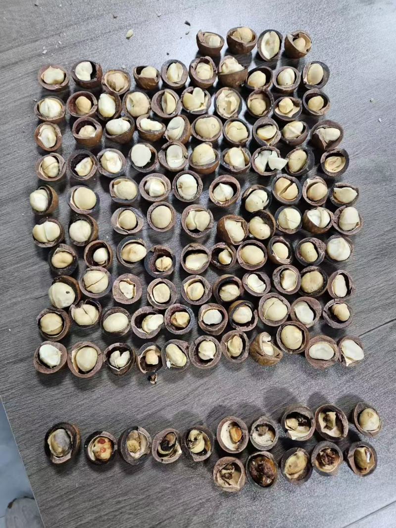 夏威夷果一件代发