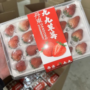 丹东九九草莓大量有货，诚接全国批发市场，商超，烘培，物流模式