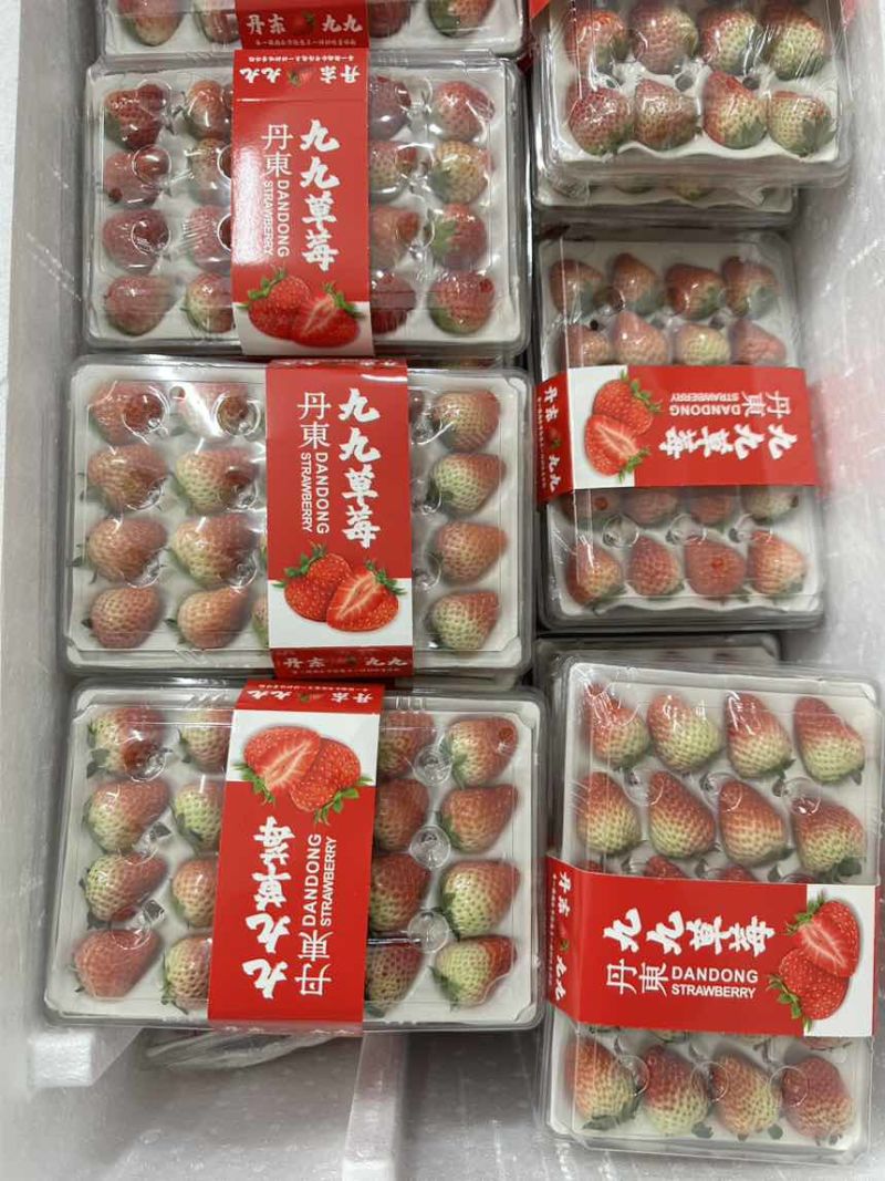 丹东九九草莓大量有货，诚接全国批发市场，商超，烘培，物流模式