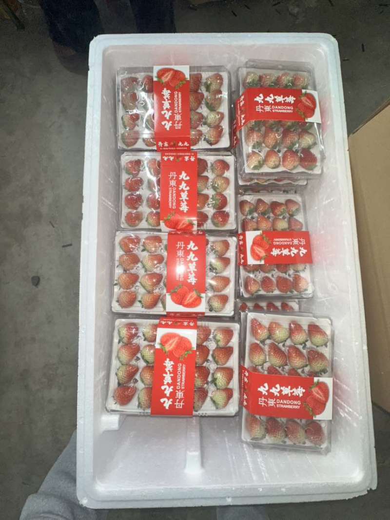 丹东九九草莓大量有货，诚接全国批发市场，商超，烘培，物流模式