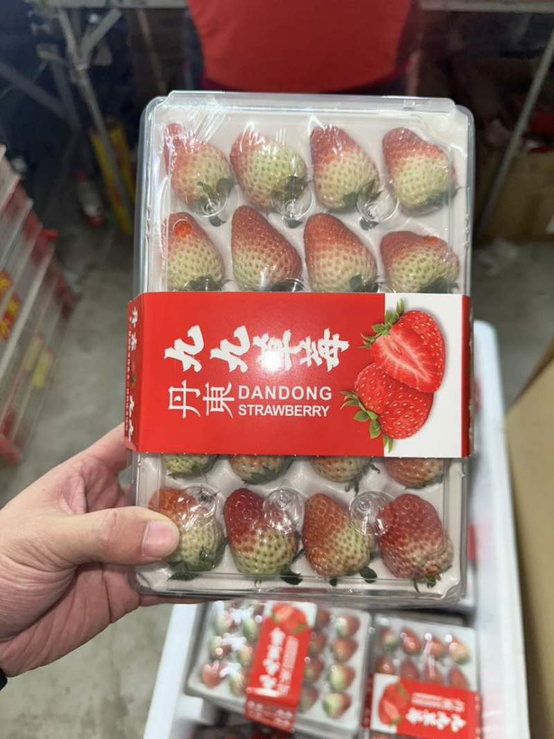 丹东九九草莓大量有货，诚接全国批发市场，商超，烘培，物流模式