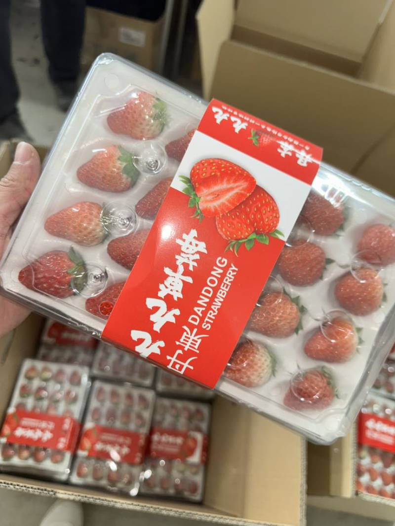 丹东九九草莓大量有货，诚接全国批发市场，商超，烘培，物流模式