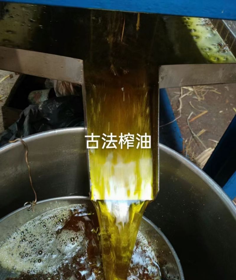 产地直供江西婺源高山***茶籽油
