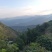 产地直供江西婺源高山***茶籽油