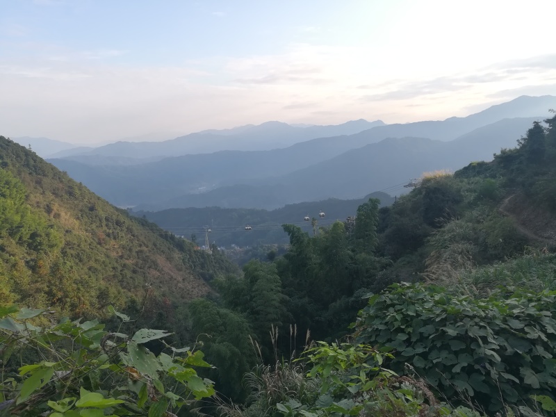 产地直供江西婺源高山***茶籽油