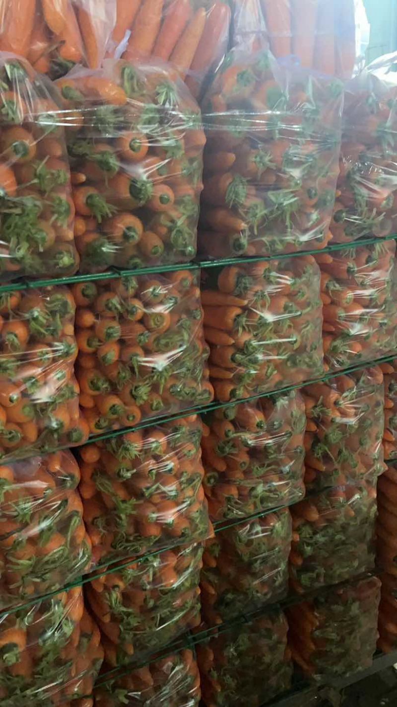 河南水洗胡罗卜