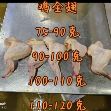 鸡全翅，各种规格，全新冷冻批发证件齐全价格优惠。