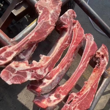 多肉肋排条现场实拍，最新日期这么便宜的骨头，你想怎么用