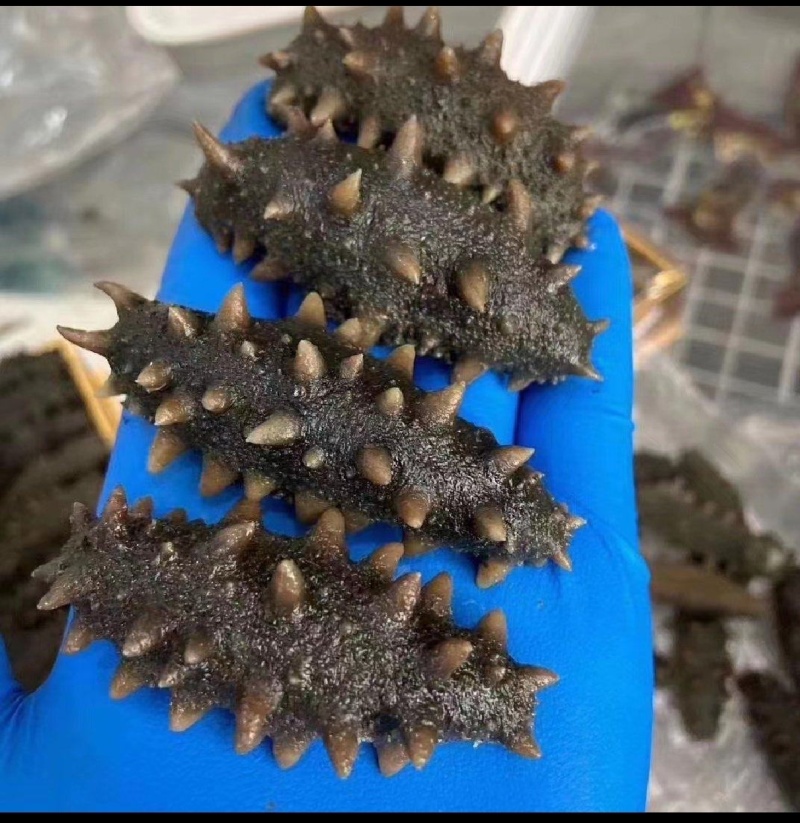 威海特产海参