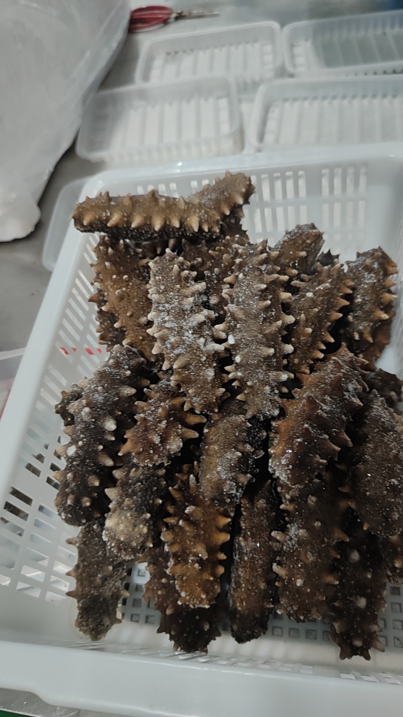威海特产海参