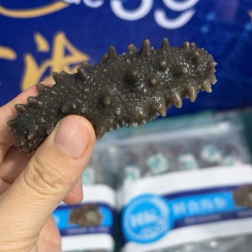 威海大海参