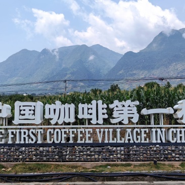 云南保山小粒咖啡