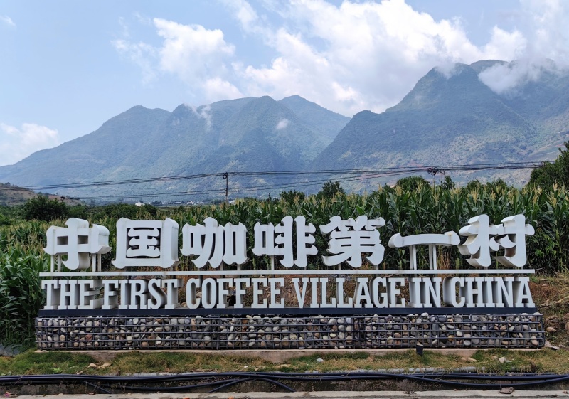 云南保山小粒咖啡